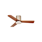 Modern Ceiling Fan Lamp