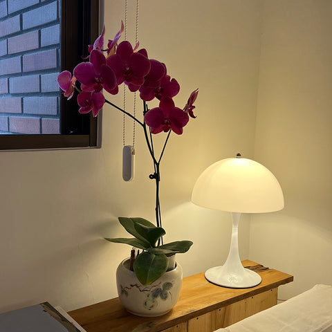 White mushroom table lamp