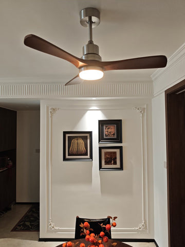 Ceiling Fan Light