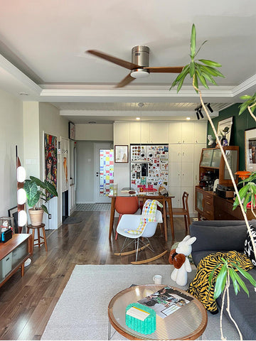 Modern Ceiling Fan Lamp