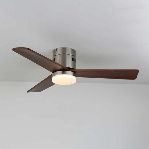 Modern Ceiling Fan Lamp