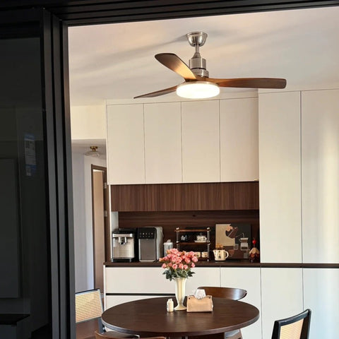 Ceiling Fan Light