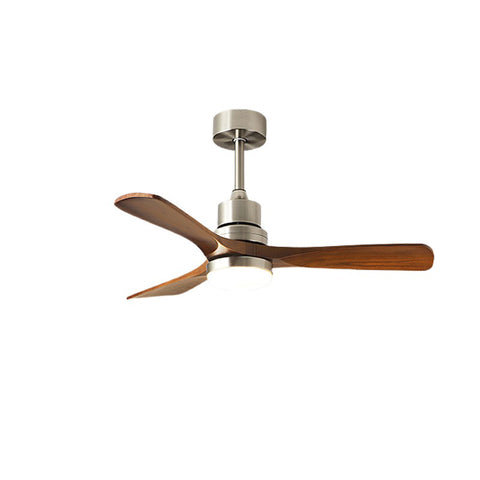 Ceiling Fan Light