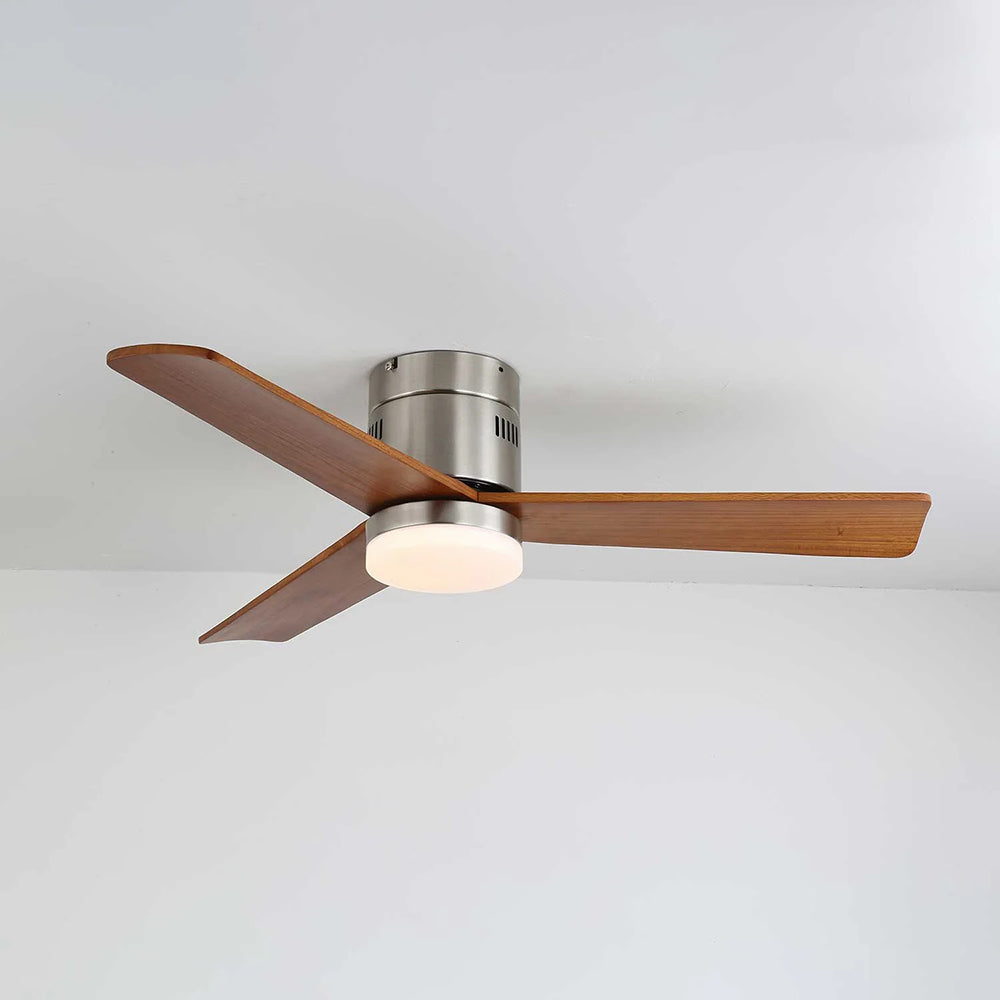 Modern Ceiling Fan Lamp