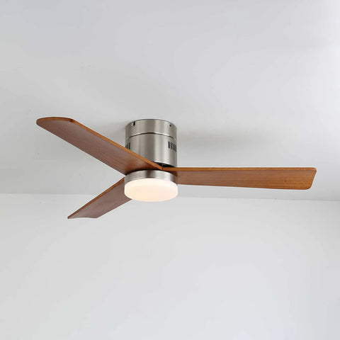 Modern Ceiling Fan Lamp