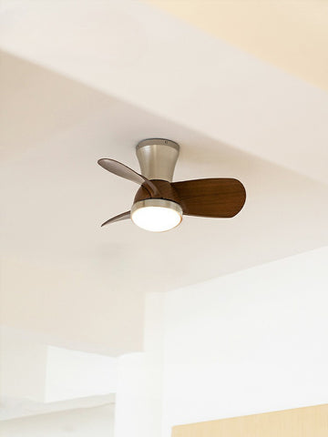 Retro Ceiling Fan Lamp