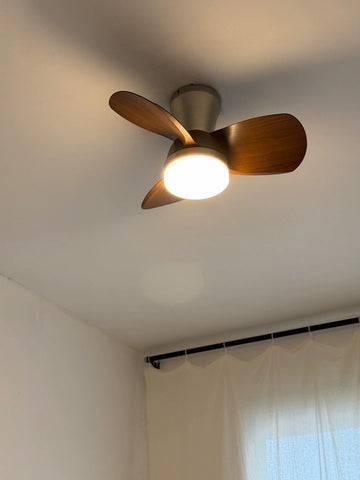 Retro Ceiling Fan Lamp