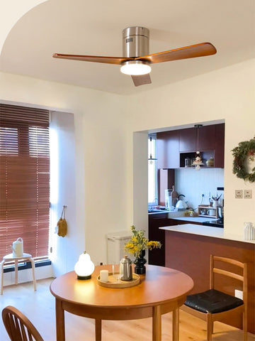 Modern Ceiling Fan Lamp