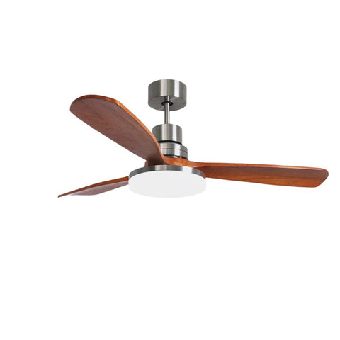 Ceiling Fan Light