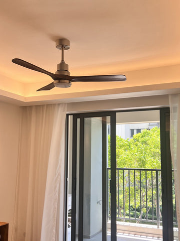 Ceiling Fan Light