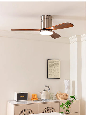 Modern Ceiling Fan Lamp