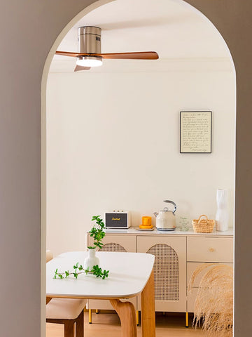 Modern Ceiling Fan Lamp