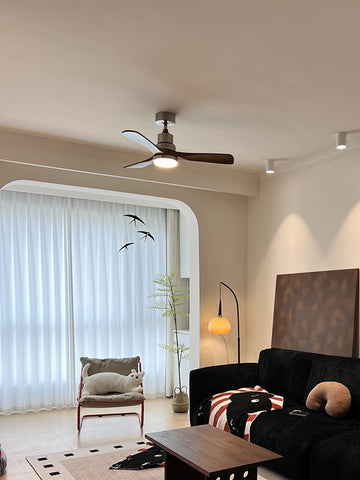 Ceiling Fan Light