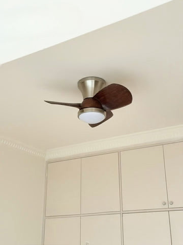 Retro Ceiling Fan Lamp