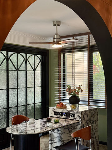 Ceiling Fan Light
