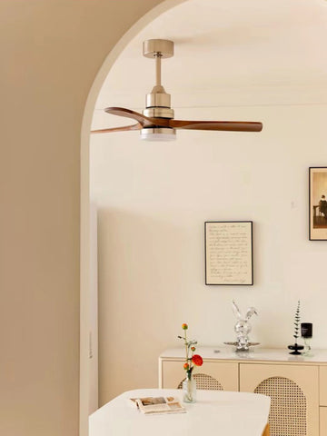 Ceiling Fan Light