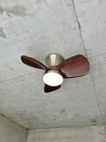 Retro Ceiling Fan Lamp