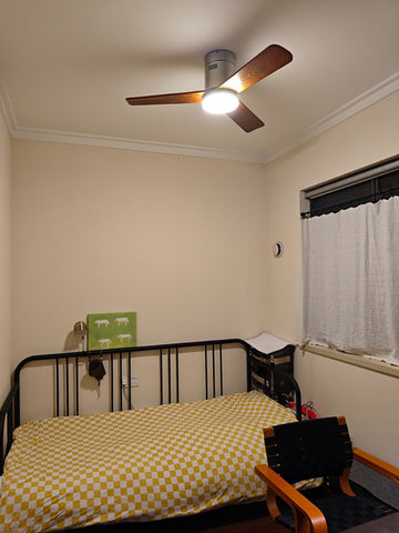 Modern Ceiling Fan Lamp