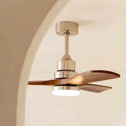 Ceiling Fan Light