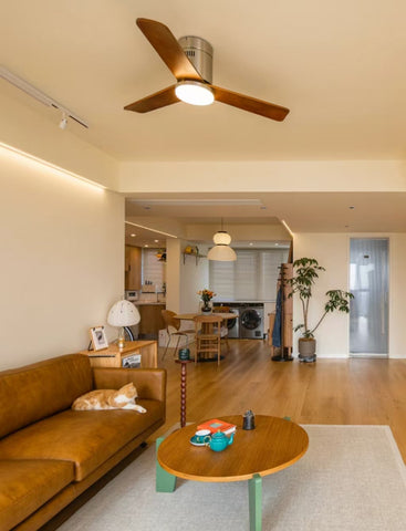 Modern Ceiling Fan Lamp
