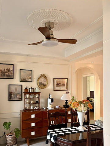 Ceiling Fan Light