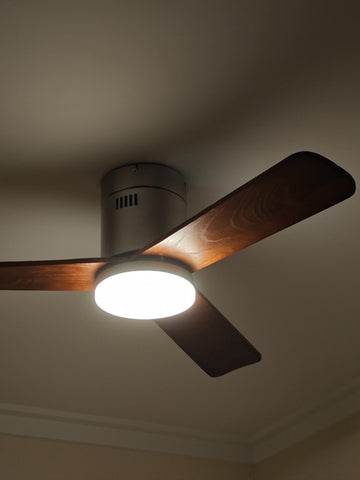 Modern Ceiling Fan Lamp