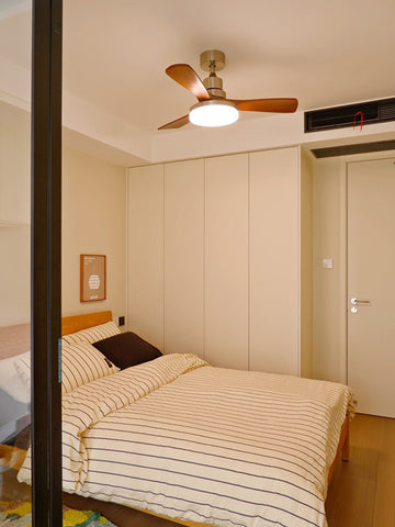 Ceiling Fan Light