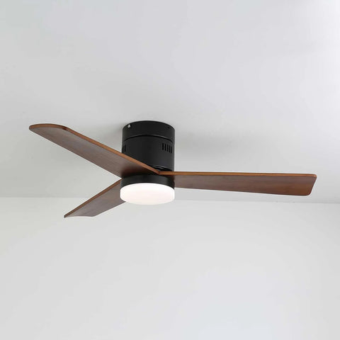 Modern Ceiling Fan Lamp
